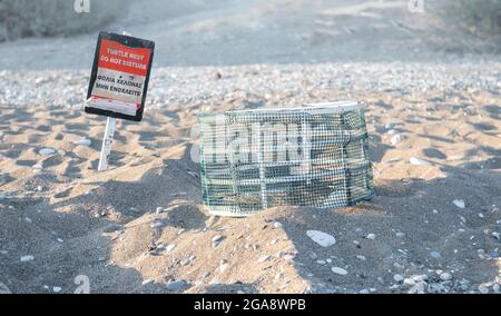 Cage sur tortue de mer nid installé par des volontaires pour la protection et le signe d'avertissement en anglais et en grec à la plage de la baie de Pissouri, Chypre Banque D'Images