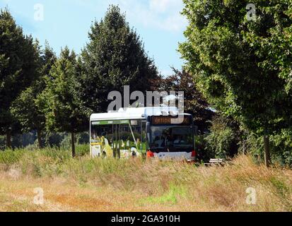 29 juillet 2021, Brandebourg, Schwedt/OT Criewen: L'un des deux premiers bus en Europe à être converti à la technologie des piles à combustible hydrogène voyage avec les invités à la présentation de bus sur la route de Criewen à Schwedt. Les véhicules à climat neutre sont en service avec l'Uckermärkische Verkehrsgesellschaft (UVG) et se déplacent également le long du parc national de la vallée de l'Oder inférieur. Les bus à hydrogène, autrefois diesel, utilisent maintenant de l'hydrogène vert produit par la société ENERTRAG en utilisant l'énergie éolienne de la région d'Uckermark. Photo: Soeren Stache/dpa-Zentralbild/dpa Banque D'Images