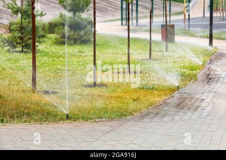 Dans la chaleur de l'été, un système d'irrigation automatique arrose la pelouse verte dans le jeune jardin le long du chemin de marche. Mise au point sélective, espace de copie. Banque D'Images