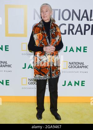 9 octobre 2017, Hollywood, Californie, États-Unis: Primatologue Dr. Jane Goodall assiste à la première de Los Angeles de National Geographic Documentary films ''Jane' (Credit image: © Billy Bennight/ZUMA Press Wire) Banque D'Images