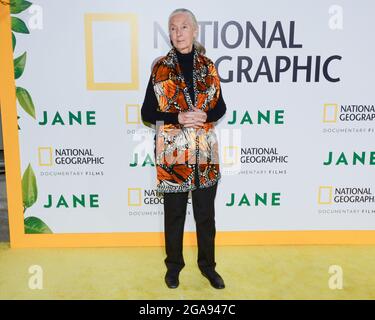 9 octobre 2017, Hollywood, Californie, États-Unis: Primatologue Dr. Jane Goodall assiste à la première de Los Angeles de National Geographic Documentary films ''Jane' (Credit image: © Billy Bennight/ZUMA Press Wire) Banque D'Images