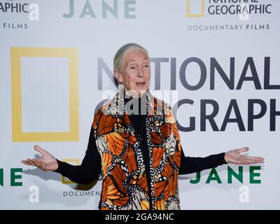 9 octobre 2017, Hollywood, Californie, États-Unis: Primatologue Dr. Jane Goodall assiste à la première de Los Angeles de National Geographic Documentary films ''Jane' (Credit image: © Billy Bennight/ZUMA Press Wire) Banque D'Images