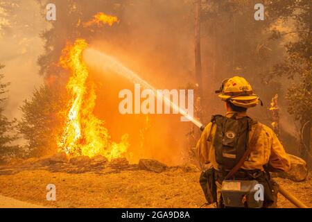 Un pompier CalFire travaille pour éteindre un arbre en feu près d'une maison à Boulder Creek, en Californie, alors que le complexe CZU Wildfire brûle à travers la ville. Banque D'Images