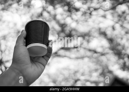 Photo en niveaux de gris à angle bas d'une main tenant une tasse de café en plastique dans un parc ensoleillé Banque D'Images