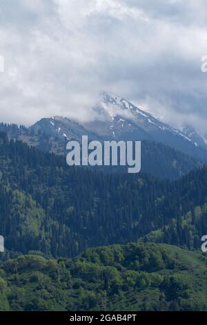 Sommet de montagne enneigé derrière les nuages avec forêt de conifères sur la pente Banque D'Images