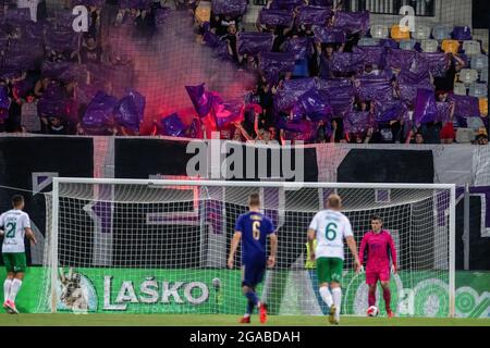 Maribor, Slovénie. 29 juillet 2021. Les fans réagissent lors de la deuxième partie de qualification de l'UEFA Europa Conference League, deuxième match de jambe entre NK Maribor et Hammarby IF au stade Ljudski vrt à Maribor. (Note finale; NK Maribor 0:1 Hammarby IF) crédit: SOPA Images Limited/Alamy Live News Banque D'Images