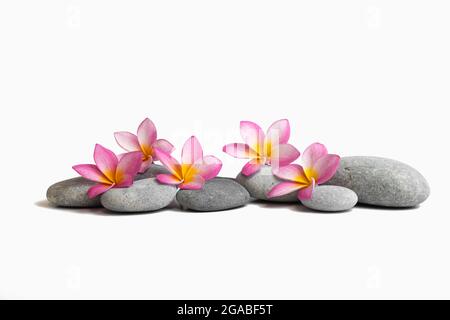 pierres zen et trois frangipani isolés sur fond blanc Banque D'Images