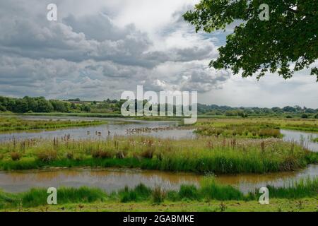 Parc naturel de Bowling Green à Topsham Banque D'Images