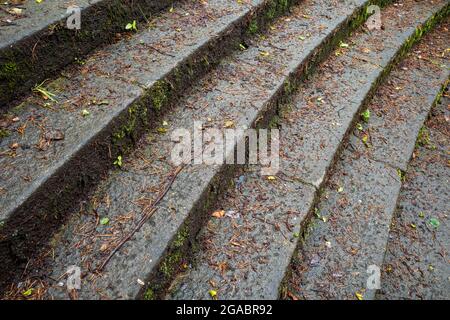 Marches en pierre de granit humides recouvertes de feuilles mortes glissantes Banque D'Images