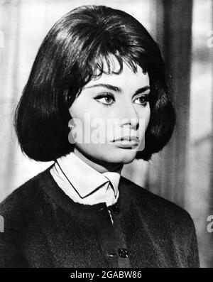 Le Couteau dans la plaie année : 1962 France / Italie Directeur : Anatole Litvak Sophia Loren Banque D'Images