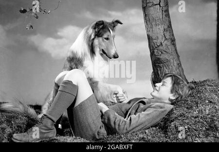 Lassie Come Home année : 1943 USA Directeur : Fred M. Wilcox Roddy McDowall Banque D'Images