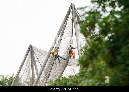 Des experts descendent en rappel du Snowdon Aviary classé Grade II au zoo de Londres ZSL à Regent's Park, Londres, pour retirer le premier des 200 panneaux en maille d'acier qui enveloppent la structure qui est restée inchangée depuis plus de 50 ans, Début du compte à rebours d'un an jusqu'à la renaissance de l'été 2022 comme nouvelle maison pour une troupe de singes colobus noirs et blancs de l'est. Date de la photo : vendredi 30 juillet 2021. Banque D'Images