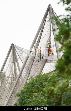 Des experts descendent en rappel du Snowdon Aviary classé Grade II au zoo de Londres ZSL à Regent's Park, Londres, pour retirer le premier des 200 panneaux en maille d'acier qui enveloppent la structure qui est restée inchangée depuis plus de 50 ans, Début du compte à rebours d'un an jusqu'à la renaissance de l'été 2022 comme nouvelle maison pour une troupe de singes colobus noirs et blancs de l'est. Date de la photo : vendredi 30 juillet 2021. Banque D'Images