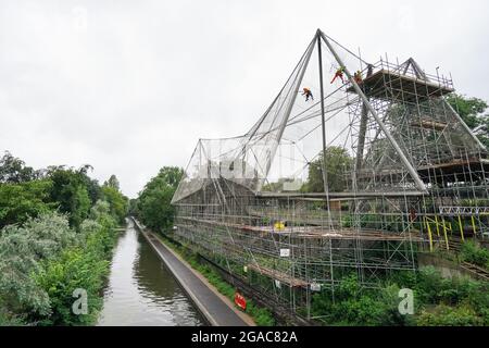 Des experts descendent en rappel du Snowdon Aviary classé Grade II au zoo de Londres ZSL à Regent's Park, Londres, pour retirer le premier des 200 panneaux en maille d'acier qui enveloppent la structure qui est restée inchangée depuis plus de 50 ans, Début du compte à rebours d'un an jusqu'à la renaissance de l'été 2022 comme nouvelle maison pour une troupe de singes colobus noirs et blancs de l'est. Date de la photo : vendredi 30 juillet 2021. Banque D'Images