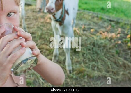 Une fille boit du lait de vache frais dans un verre, sur fond de campagne, avec de la calve de vache à la ferme Banque D'Images