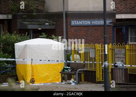 LONDRES, ROYAUME-UNI. 30 juillet 2021. Un policier et un policier sur les lieux du crime après qu'un homme de 30 ans ait été mortellement poignardé à Greenwich, dans le sud de Londres. Homme dans ses années 20 a été arrêté pour suspicion de meurtre. La police a été appelée à 1:06 pour faire état d'un homme poignardé. La victime est morte à 2:37. Crédit photo: Marcin Nowak/Alamy Live News Banque D'Images