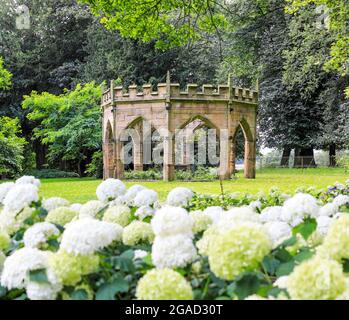 Le Gothick Aviary vu à travers Hydrangeas à Renishaw Hall & Gardens & Park, maison de campagne à Renishaw, Chesterfield, Derbyshire, Angleterre, Royaume-Uni Banque D'Images