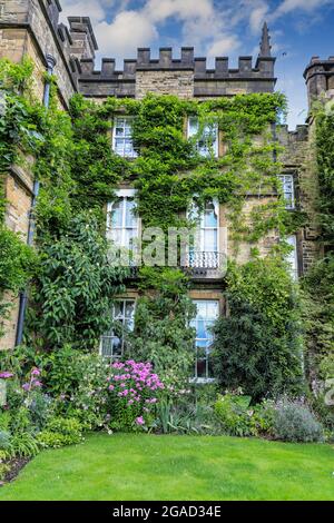 Une Wisteria qui grandit devant Renishaw Hall & Gardens, Renishaw Park, maison de campagne à Renishaw, Chesterfield, Derbyshire, Angleterre, Royaume-Uni Banque D'Images