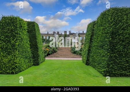 Une haie de Yew devant Renishaw Hall & Gardens, Renishaw Park, maison de campagne à Renishaw, Chesterfield, Derbyshire, Angleterre, Royaume-Uni Banque D'Images