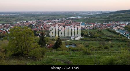 Svaty Jur - petite ville située sur les pentes des montagnes des petits Carpates et entourée de vignobles typiques en terrasse, Slovaquie Banque D'Images