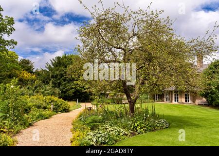 CAMBRIDGE ENGLAND UNIVERSITY BOTANIC GARDENS NEWTON'S APPLE TREE DEVANT LE LODGE EN ÉTÉ Banque D'Images