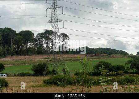 Aylesbury Vale, Buckinghamshire, Royaume-Uni. 28 juillet 2021. Les cicatrices de destruction causées par HS2 Ltd à Jones Hill Wood. HS2 a abattu un grand nombre de hêtres dans le bois, ce qui est censé avoir été l'inspiration pour l'auteur local des enfants Roald Dahl pour son livre le fantastique M. Fox. Crédit : Maureen McLean/Alay Banque D'Images