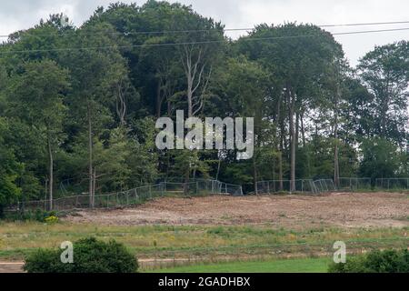 Aylesbury Vale, Buckinghamshire, Royaume-Uni. 28 juillet 2021. Les cicatrices de destruction causées par HS2 Ltd à Jones Hill Wood. HS2 a abattu un grand nombre de hêtres dans le bois, ce qui est censé avoir été l'inspiration pour l'auteur local des enfants Roald Dahl pour son livre le fantastique M. Fox. Crédit : Maureen McLean/Alay Banque D'Images