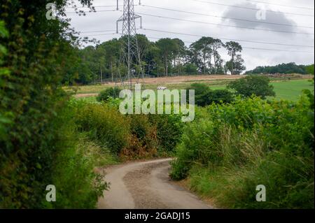 Aylesbury Vale, Buckinghamshire, Royaume-Uni. 28 juillet 2021. Les cicatrices de destruction causées par HS2 Ltd à Jones Hill Wood. HS2 a abattu un grand nombre de hêtres dans le bois, ce qui est censé avoir été l'inspiration pour l'auteur local des enfants Roald Dahl pour son livre le fantastique M. Fox. Crédit : Maureen McLean/Alay Banque D'Images