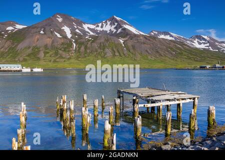 poteaux et vestiges en bois d'un quai de bateau de pêche dans le fjord montagneux de la ville historique de pêche de siglofjordur islande lors d'une belle journée claire Banque D'Images