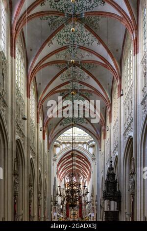 Intérieur de la cathédrale Saint-Jean, Den Bosch, pays-Bas Banque D'Images