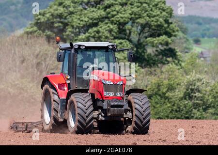 Agriculteur utilisant un Massey Ferguson 7616, en pressant le lit de semence après avoir réensemené un pré dans la vallée d'Eden, Cumbria, Royaume-Uni. Banque D'Images