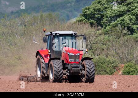 Agriculteur utilisant un Massey Ferguson 7616, en pressant le lit de semence après avoir réensemené un pré dans la vallée d'Eden, Cumbria, Royaume-Uni. Banque D'Images