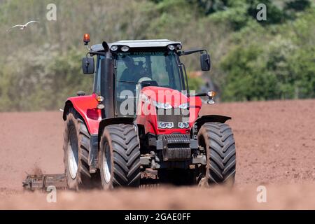 Agriculteur utilisant un Massey Ferguson 7616, en pressant le lit de semence après avoir réensemené un pré dans la vallée d'Eden, Cumbria, Royaume-Uni. Banque D'Images