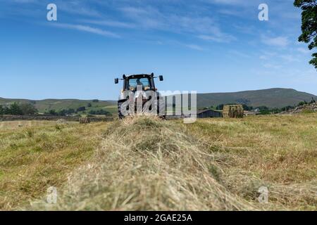 Entrepreneur équipé d'une presse à balles argentée Hurlimann et New Holland, qui fait de grosses balles carrées de foin dans un pré traditionnel des bières, à Hawes, dans le North Yorkshire, au Royaume-Uni. Banque D'Images