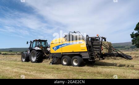 Entrepreneur équipé d'une presse à balles argentée Hurlimann et New Holland, qui fait de grosses balles carrées de foin dans un pré traditionnel des bières, à Hawes, dans le North Yorkshire, au Royaume-Uni. Banque D'Images