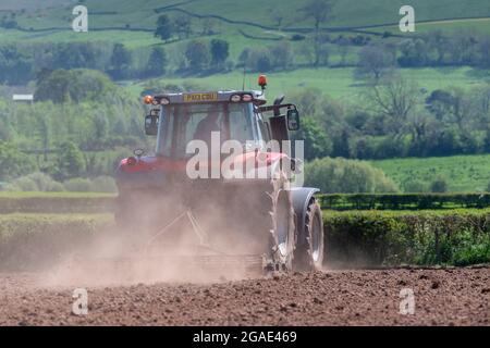 Agriculteur utilisant un Massey Ferguson 7616, en pressant le lit de semence après avoir réensemené un pré dans la vallée d'Eden, Cumbria, Royaume-Uni. Banque D'Images