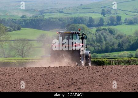 Agriculteur utilisant un Massey Ferguson 7616, en pressant le lit de semence après avoir réensemené un pré dans la vallée d'Eden, Cumbria, Royaume-Uni. Banque D'Images