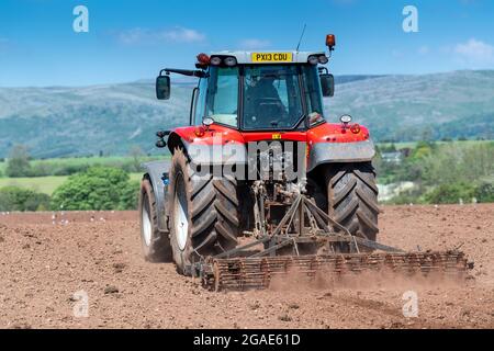 Agriculteur utilisant un Massey Ferguson 7616, en pressant le lit de semence après avoir réensemené un pré dans la vallée d'Eden, Cumbria, Royaume-Uni. Banque D'Images