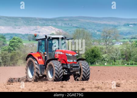 Agriculteur utilisant un Massey Ferguson 7616, en pressant le lit de semence après avoir réensemené un pré dans la vallée d'Eden, Cumbria, Royaume-Uni. Banque D'Images