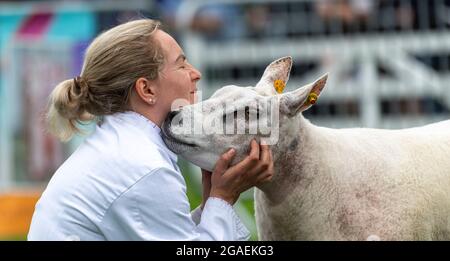 Présentation de moutons Beltex au Great Yorkshire Show, 2021. Banque D'Images