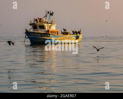 Paracas, Pérou - Mai 2016: Les pélicans sont assis sur un bateau de pêche dans les rayons du soleil couchant. Îles Ballestas, péninsule de Paracas, province de Pisco, Banque D'Images