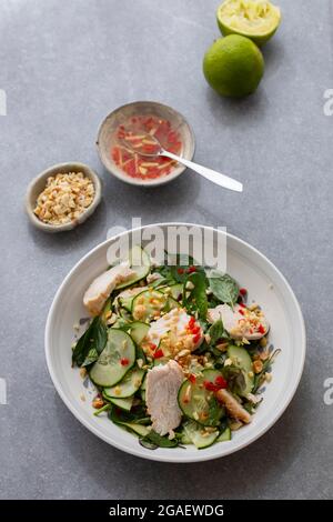 Salade de poulet de style thaïlandais au concombre et aux arachides Banque D'Images