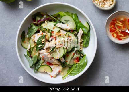 Salade de poulet de style thaïlandais au concombre et aux arachides Banque D'Images