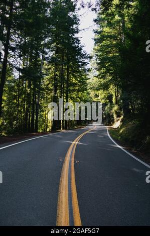 Route en courbe à travers la forêt de séquoias dans le nord de la Californie Banque D'Images