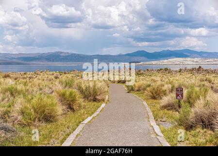 Région de South Tufa. Mono Lake, comté de Mono, Californie, États-Unis. Banque D'Images