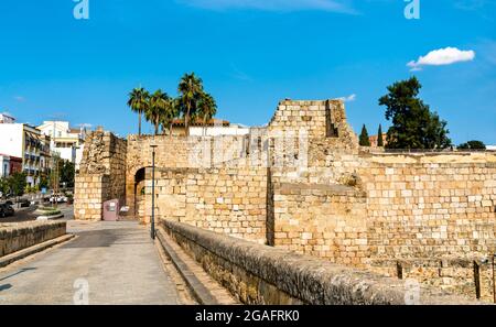 Vue sur l'Alcazaba de Merida en Espagne Banque D'Images