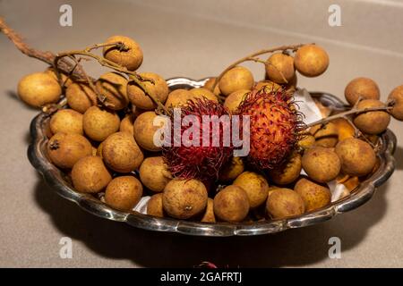 Fruits exotiques Chom Chom Chom (Rambutan) et Dmocarpus longane, communément connu sous le nom de longan. Fruits indigènes à l'Asie tropicale et à la Chine. Banque D'Images