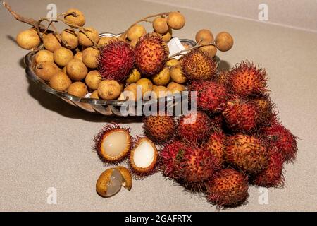 Fruits exotiques Chom Chom Chom (Rambutan) et Dmocarpus longane, communément connu sous le nom de longan. Fruits indigènes à l'Asie tropicale et à la Chine. Banque D'Images