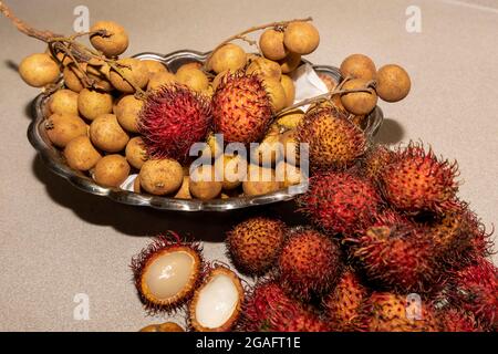 Fruits exotiques Chom Chom Chom (Rambutan) et Dmocarpus longane, communément connu sous le nom de longan. Fruits indigènes à l'Asie tropicale et à la Chine. Banque D'Images