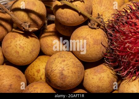 Fruits exotiques Chom Chom Chom (Rambutan) et Dmocarpus longane, communément connu sous le nom de longan. Fruits indigènes à l'Asie tropicale et à la Chine. Banque D'Images